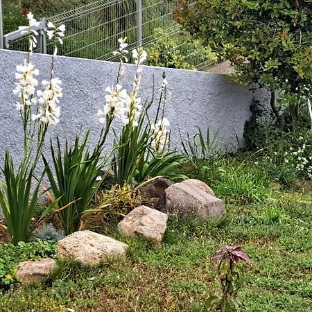 La Casa Βίλα Fajã da Ovelha Εξωτερικό φωτογραφία