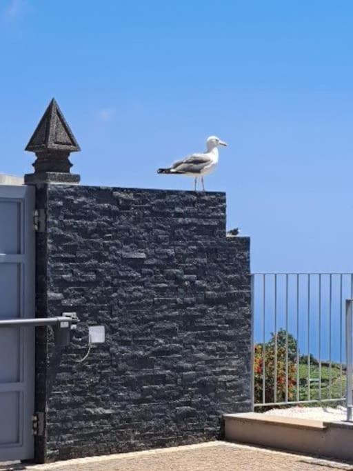 La Casa Βίλα Fajã da Ovelha Εξωτερικό φωτογραφία